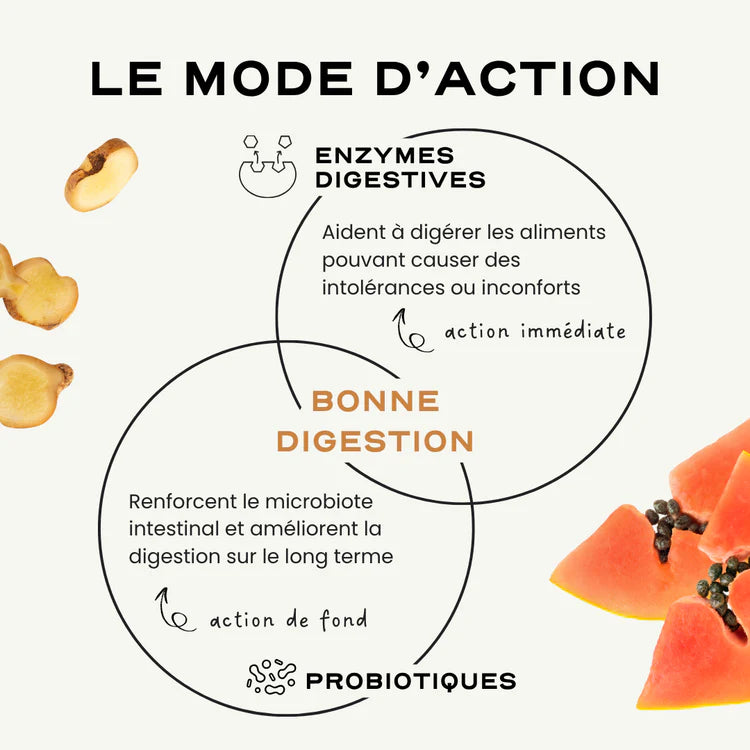 Probiotics for digestion and anti-bloating - Digest Circles