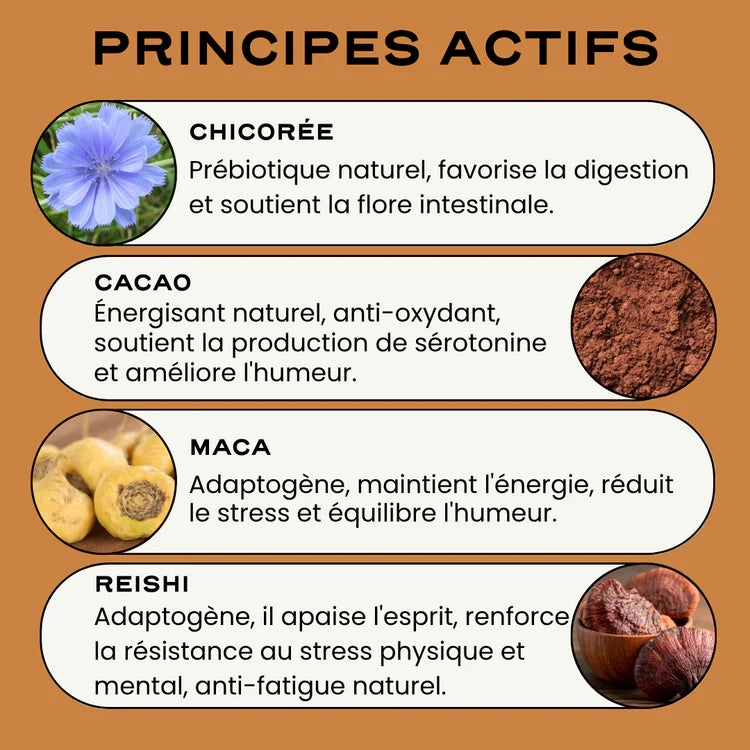 Boisson au Mocha - vitalité, stress & digestion - Circles